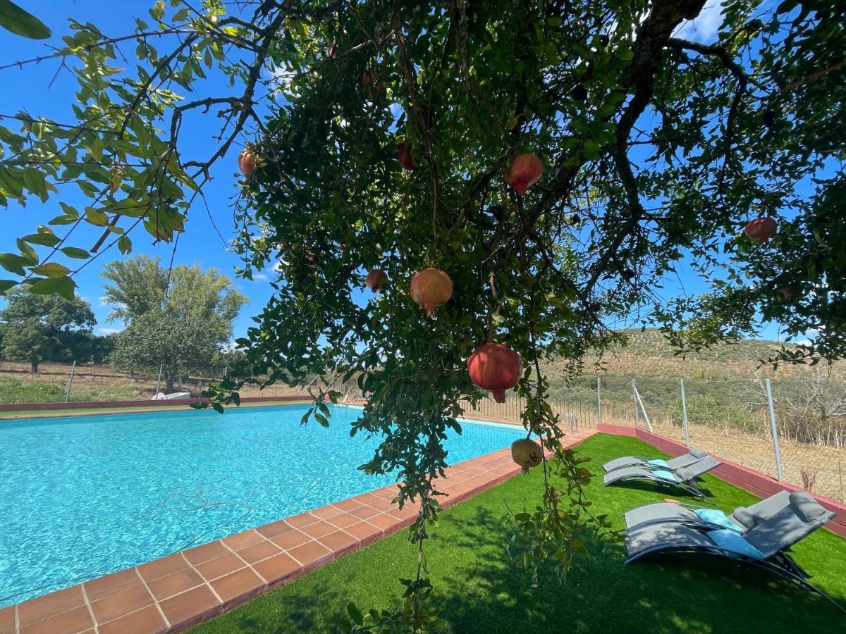 Cortijo Huerta Galindo Guest House Alanis Exterior photo